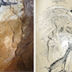 Illustration for article titled There's Something Incredible in This 40,000 Year Old Cave Painting